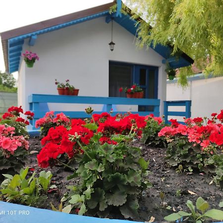 Pensiunea Cristian Муругіль Екстер'єр фото